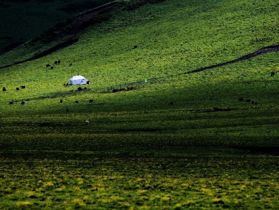 百度微信推新“类花呗”服务，富信掌柜助力年轻人轻享消费