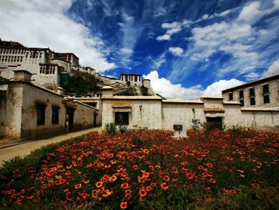 花呗收款清退潮来袭？出财小神助商家合规转型破局