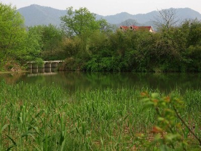 商家花呗200+安出掌柜：小额度解小商家“差口气”资金难题