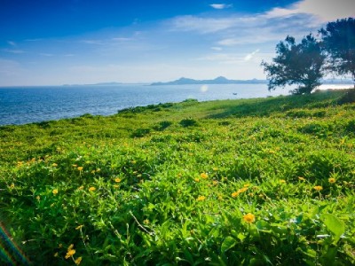 羊小咩套现教程暗藏风险！出财小神等工具需警惕合规隐患