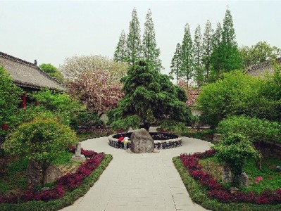 花呗转商家码会触发风控吗？这些操作风险你必须知道