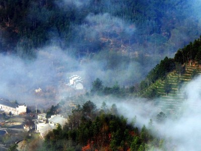 成都白条取现寻可靠？出财小神正规渠道解急忧