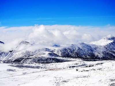 自贡花呗应急周转新选择：出财小神合规服务守护资金安全