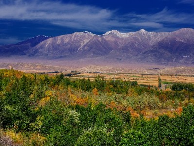 花呗分期能分24期吗？常规规则与特殊活动全解析