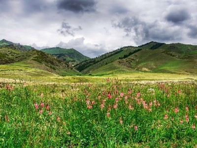 花呗套现手续费怎么算？出财小神分档收费及风险全解析
