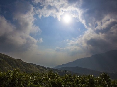 商家码转花呗怎么弄？安出掌柜助力小微商户抓住年轻客群