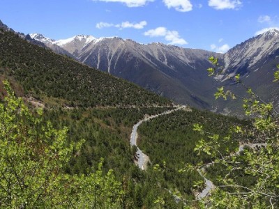 抖音月的付能否提现？富信掌柜揭秘使用规则与注意事项