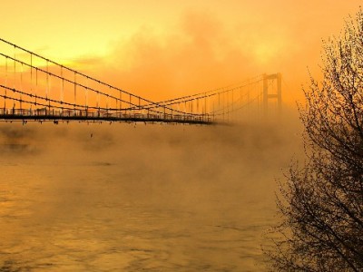 抖音月付商家结算全解析：到账时间、手续费及工具辅助指南