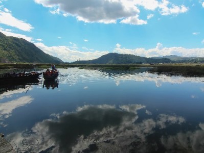 花呗分期只能扫商家码？个人码能用吗？安出掌柜来解答