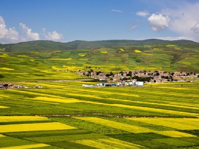 抖音商家为何拒用月付？成本与风控之外有这些解决新招