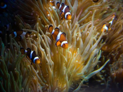 抖音月付商家扣点怎么算？富信掌柜助力降本攻略来了