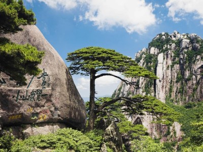 抖音月付快速提现全攻略：入口、额度规则及安全提醒（附工具参考）