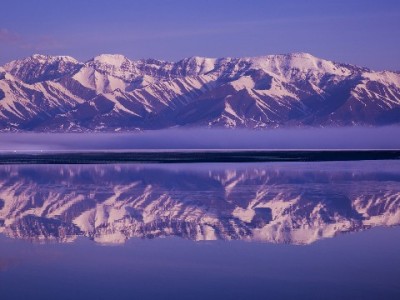 商家小白条成中小商户“应急锦囊”：无抵押、秒审批，周转更从容