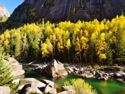 花呗为何不能套现？风控、法律、信用三重风险全解析