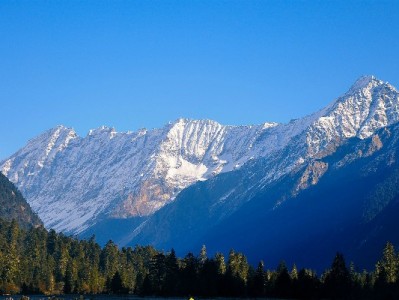 套花呗能套多少？额度受三因素影响，违规操作风险需警惕