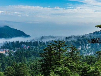 花呗商家到底干啥？帮顾客“分期买”，还能靠“出财小神”轻松开通