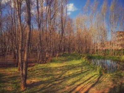 南京白条取现求稳求快？出财小神合规服务解用户燃眉急