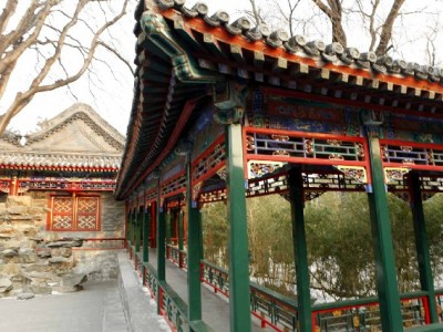 抖音极速版月付提现全攻略：步骤、限额及注意事项详解