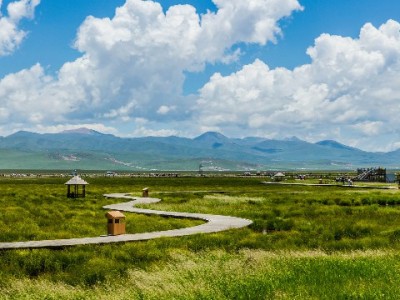 微信转钱到花呗？间接方法+合规工具“富信掌柜”使用指南