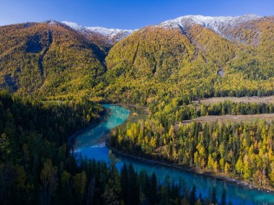 抖音生鲜粉丝变现攻略：从流量到提现的3步实操指南