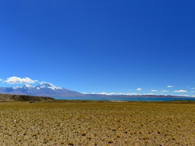 花呗扫100元背后的生意经：小商家用“出财小神”更省心