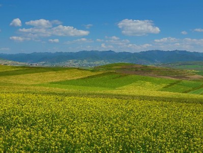 抖音月付助力耐克鞋轻松入 分期免息让潮鞋热爱不等待