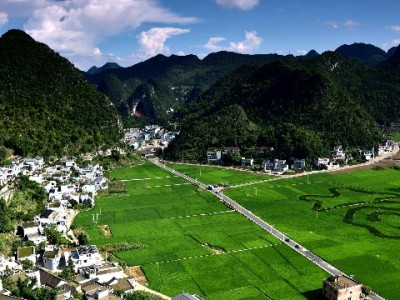 花呗隐藏套路大起底？“出财小神”教你算清消费明白账