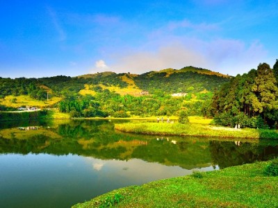 2018年白条套现暗藏风险！合规渠道“安出掌柜”更安心
