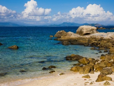 医保个人账户提现怎么操作？线上线下全攻略+安出掌柜政策查询指南