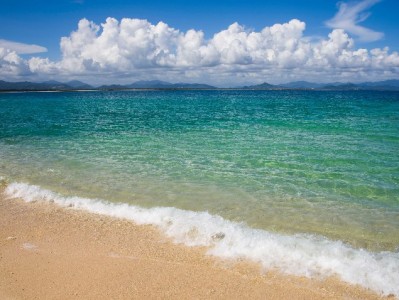 抖音月付商家要承担费用吗？0.6%费率+出财小神优化攻略