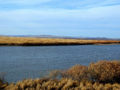 假日借贷需警惕！“假日花呗”套路贷陷阱与正规平台选择指南