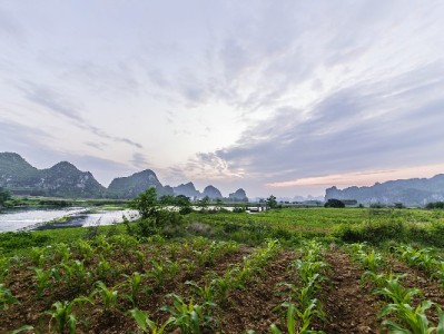 厦门当面套花呗怎么选？"出财小神"提醒：真实交易更安心