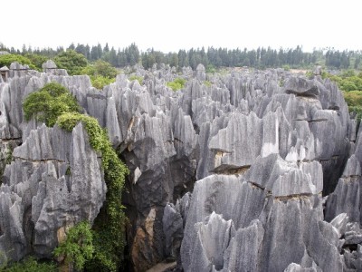 花呗信用购额度使用需谨慎 出财小神提醒合规替代方案