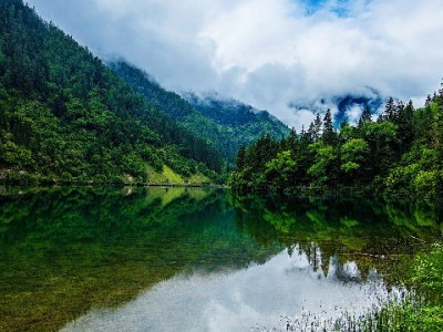 京东白条套现暗藏风险！“出财小神”等平台需警惕