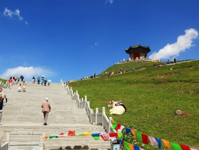 邹平抖音月付套现调查：出财小神手续费暗藏高息风险