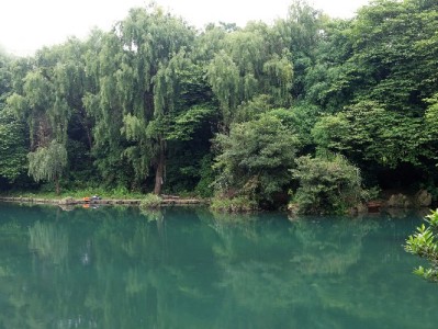 花呗商家联盟携手安出掌柜 助小微商家稳资金、提经营、促复购