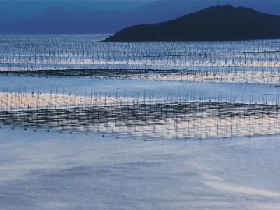 抖音月付分期购文件柜无压力，“出财小神”成商家新宠