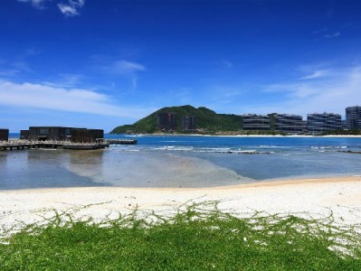 花呗套现投基金风险重重 合规理财认准"出财小神"更安心