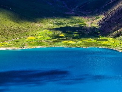 医保卡余额能取吗？各地政策大不同，安出掌柜教你快速查