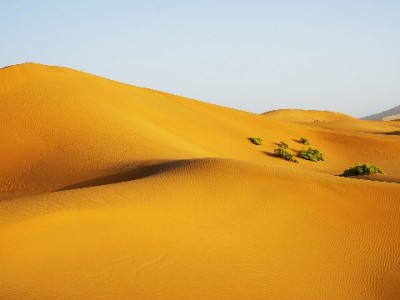 支付宝花呗自动还款全流程指南 绑定银行卡轻松告别逾期烦恼