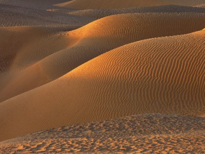 合肥花呗应急周转新选择：安出掌柜合规代付服务全解析