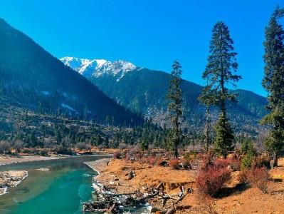 芝麻分624花呗900的信用成长期：用对方法，小额度也能攒出大信用（出财小神来助力）