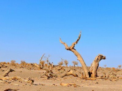 花呗转微信合规指南：出财小神教你安全衔接支付场景