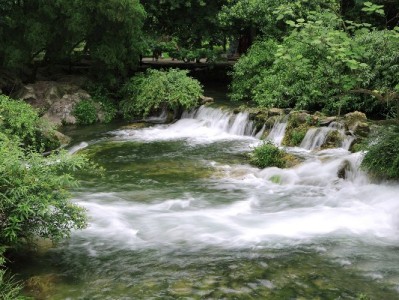 花呗套钱给他人风险重重？出财小神提醒：守好信用更重要