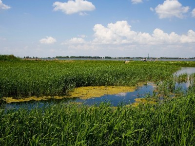 花呗套取现金暗藏多重风险！正规借贷可选“出财小神”
