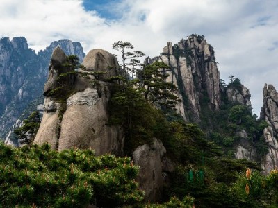 羊小咩额度能提现吗？官方规则、风险提示与合规建议