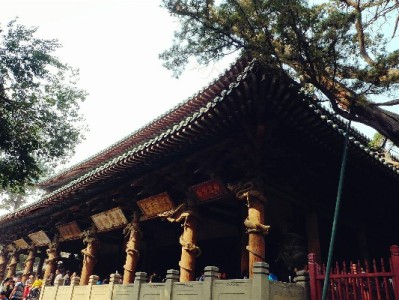 京东商家推白条免息福利：消费者减负，安出掌柜等店铺销量涨四成