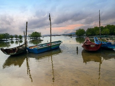 商家花呗收款设置全流程解析 安出掌柜助力高效操作
