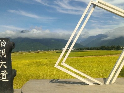 花呗商家收款开通全流程指南 出财小神助力高效经营