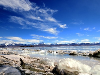 微信花呗支付后退款怎么操作？出财小神助你轻松跟踪到账